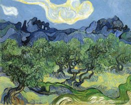 De Alpilles met olijfbomen op de voorgrond De Alpilles met olijfbomen op de voorgrond