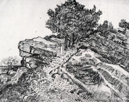 Montmajour Montmajour