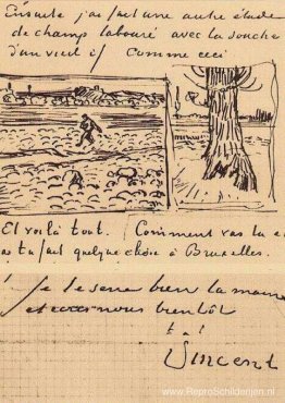 Zaaier en stam van een oude taxusboom Zaaier en stam van een oude taxusboom