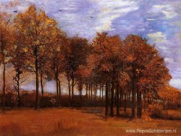 Herfst landschap Herfst landschap