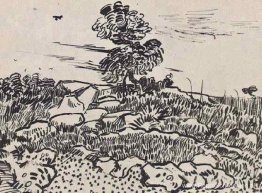 Rotsen met eikenboom Rotsen met eikenboom