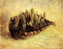 Stilleven met een mandje krokussen Stilleven met een mandje krokussen