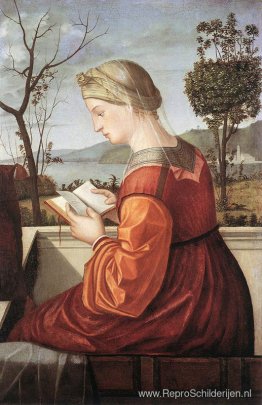 De maagdelijke lezing De maagdelijke lezing