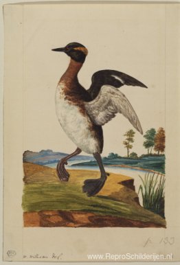 Watervogel, staande bij een rivier Watervogel, staande bij een rivier