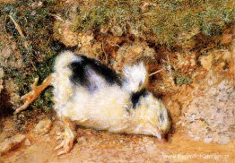 Het dode kuiken van John Ruskin Het dode kuiken van John Ruskin