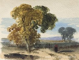 Heidelandschap (Boomstudie) Heidelandschap (Boomstudie)