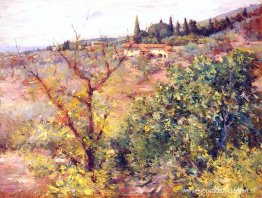 Uitzicht op Fiesole Uitzicht op Fiesole