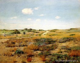 Shinnecock-heuvels Shinnecock-heuvels